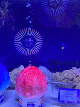 マクセル アクアパーク品川に投稿された画像（2025/7/12）