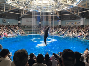 マクセル アクアパーク品川に投稿された画像（2025/7/12）