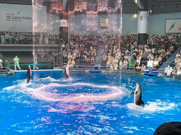 マクセル アクアパーク品川に投稿された画像（2025/7/12）