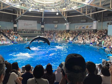 マクセル アクアパーク品川に投稿された画像（2025/7/12）