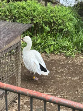 多摩動物公園に投稿された画像（2025/7/12）