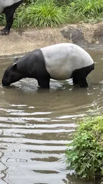 多摩動物公園に投稿された画像（2025/7/12）