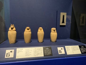 ブルックリン博物館所蔵　特別展　古代エジプト（豊田会場）に投稿された画像（2025/7/12）