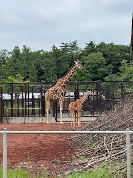 こども動物自然公園（埼玉県公園緑地協会）に投稿された画像（2025/7/12）