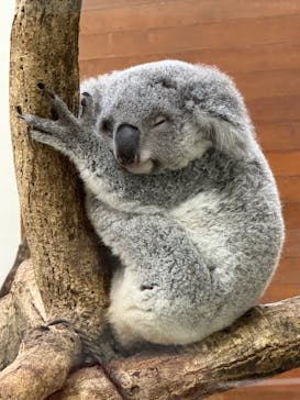 こども動物自然公園（埼玉県公園緑地協会）に投稿された画像（2025/7/12）