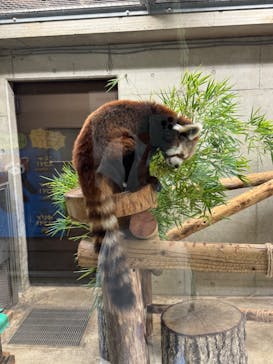 こども動物自然公園（埼玉県公園緑地協会）に投稿された画像（2025/7/12）
