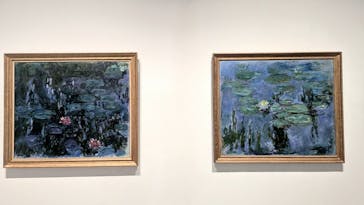 モネ 睡蓮のとき（豊田会場）に投稿された画像（2025/7/12）