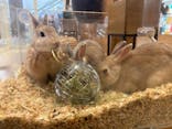 Moff animal cafe イオンモール名取店に投稿された画像（2025/7/12）