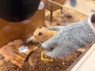 Moff animal cafe イオンモール名取店に投稿された画像（2025/7/12）