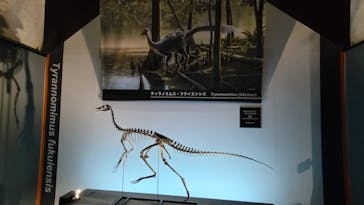 福井県立恐竜博物館に投稿された画像（2025/7/12）