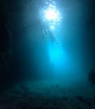 武藤潜水に投稿された画像（2025/7/12）