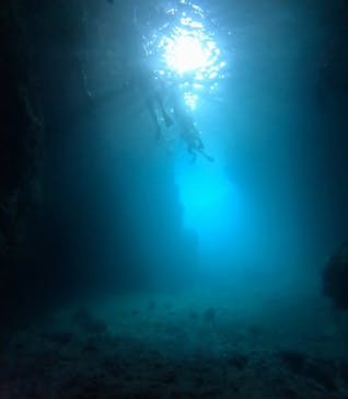 武藤潜水に投稿された画像（2025/7/12）