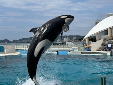 鴨川シーワールドに投稿された画像（2025/7/12）