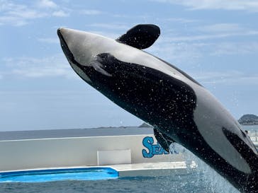 鴨川シーワールドに投稿された画像（2025/7/12）