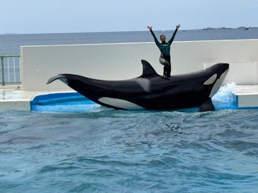鴨川シーワールドに投稿された画像（2025/7/12）