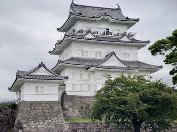 小田原城に投稿された画像（2025/7/12）