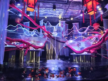 UWS AQUARIUM GA☆KYOに投稿された画像（2025/7/12）