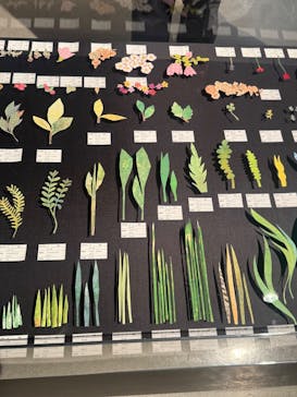 レオ・レオーニの絵本づくり展に投稿された画像（2025/7/12）