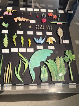 レオ・レオーニの絵本づくり展に投稿された画像（2025/7/12）