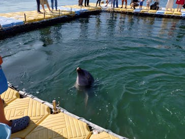 日間賀島ドルフィンビーチに投稿された画像（2025/7/12）