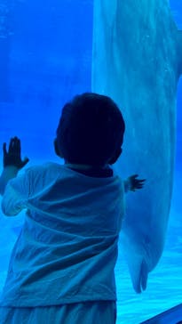 名古屋港水族館に投稿された画像（2025/7/12）