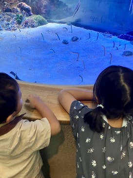 名古屋港水族館に投稿された画像（2025/7/12）