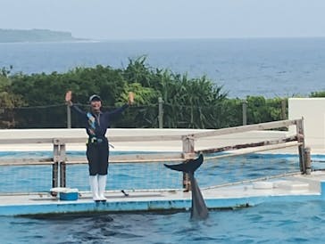 沖縄美ら海水族館に投稿された画像（2025/7/12）