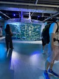 AQUARIUM × ART　atoaに投稿された画像（2025/7/12）