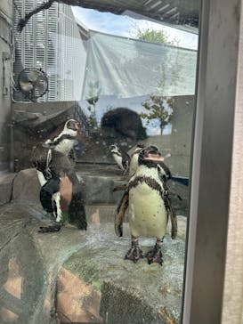 AQUARIUM × ART　atoaに投稿された画像（2025/7/12）