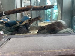 AQUARIUM × ART　atoaに投稿された画像（2025/7/12）