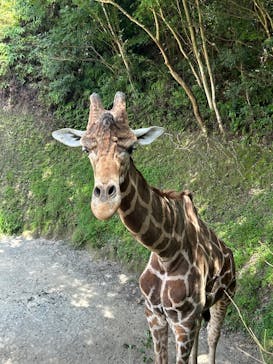 長崎バイオパークに投稿された画像（2025/7/12）