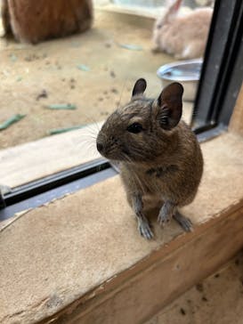 長崎バイオパークに投稿された画像（2025/7/12）