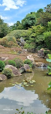 宗教法人退蔵院に投稿された画像（2025/7/12）