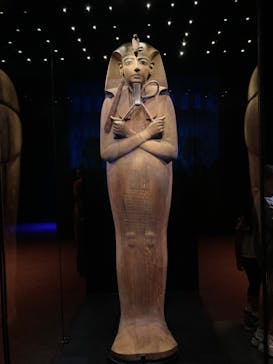 ACN ラムセス大王展 ファラオたちの黄金に投稿された画像（2025/7/12）