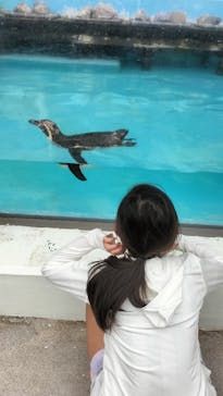 あわしまマリンパークに投稿された画像（2025/7/12）