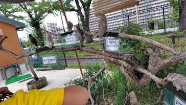 あらかわ遊園に投稿された画像（2025/7/12）