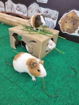 天王寺動物園に投稿された画像（2025/7/12）