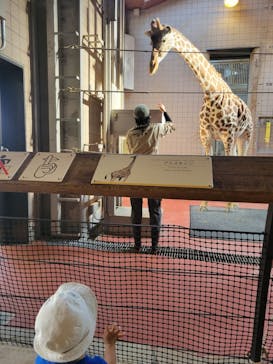 天王寺動物園に投稿された画像（2025/7/12）