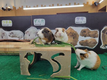 天王寺動物園に投稿された画像（2025/7/12）