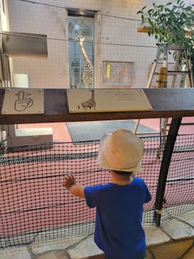 天王寺動物園に投稿された画像（2025/7/12）