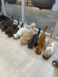 Moff animal cafe イオンモール成田店に投稿された画像（2025/7/12）