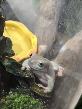 NARA IKIMONO MUSEUMに投稿された画像（2025/7/12）