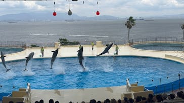 マリンワールド海の中道に投稿された画像（2025/7/12）