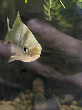 マリンワールド海の中道に投稿された画像（2025/7/12）