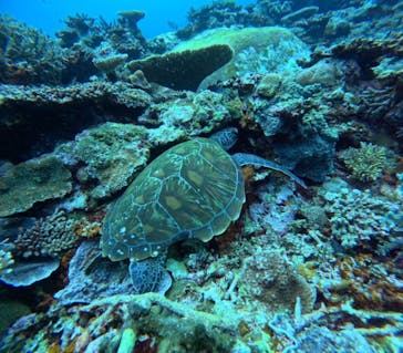 マーレ石垣島に投稿された画像（2025/7/12）