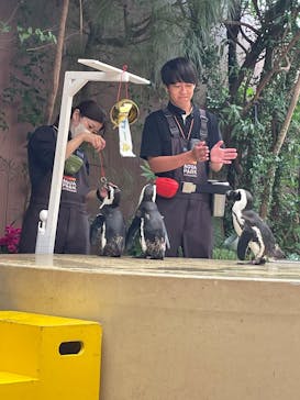 マクセル アクアパーク品川に投稿された画像（2025/7/12）