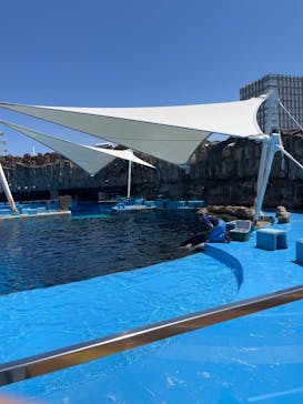 名古屋港水族館に投稿された画像（2025/7/12）