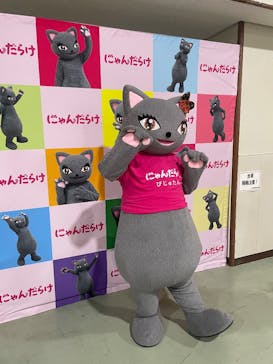 猫好きさんの祭典「にゃんだらけ in 名古屋 Vol.4」に投稿された画像（2025/7/12）