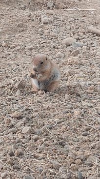 那須どうぶつ王国に投稿された画像（2025/7/12）