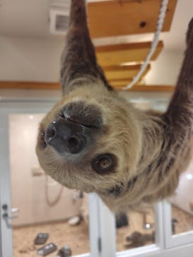 アニタッチ 東京ドームシティに投稿された画像（2025/7/12）